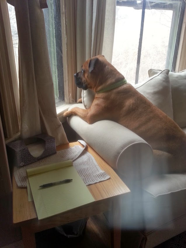 Atlas in Boston