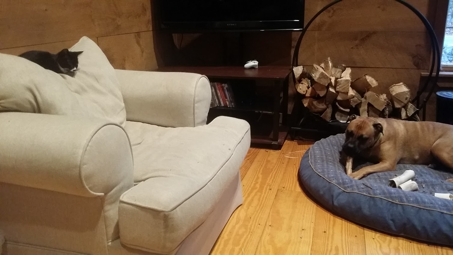 Atlas with the cats