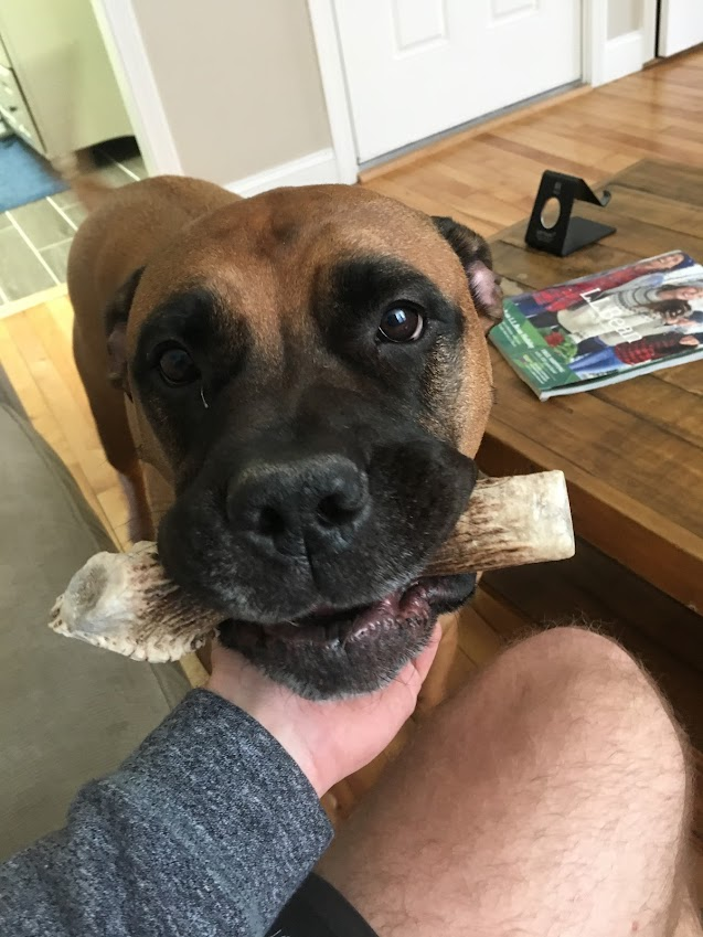 Atlas offering his bone